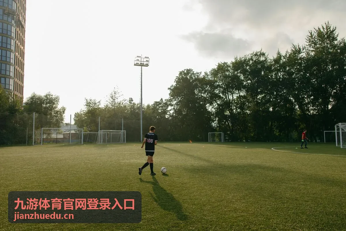 九游体育官网登录入口验证码排查流程示意